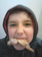 /album/fotogalerie/dsc-0210-jpg/